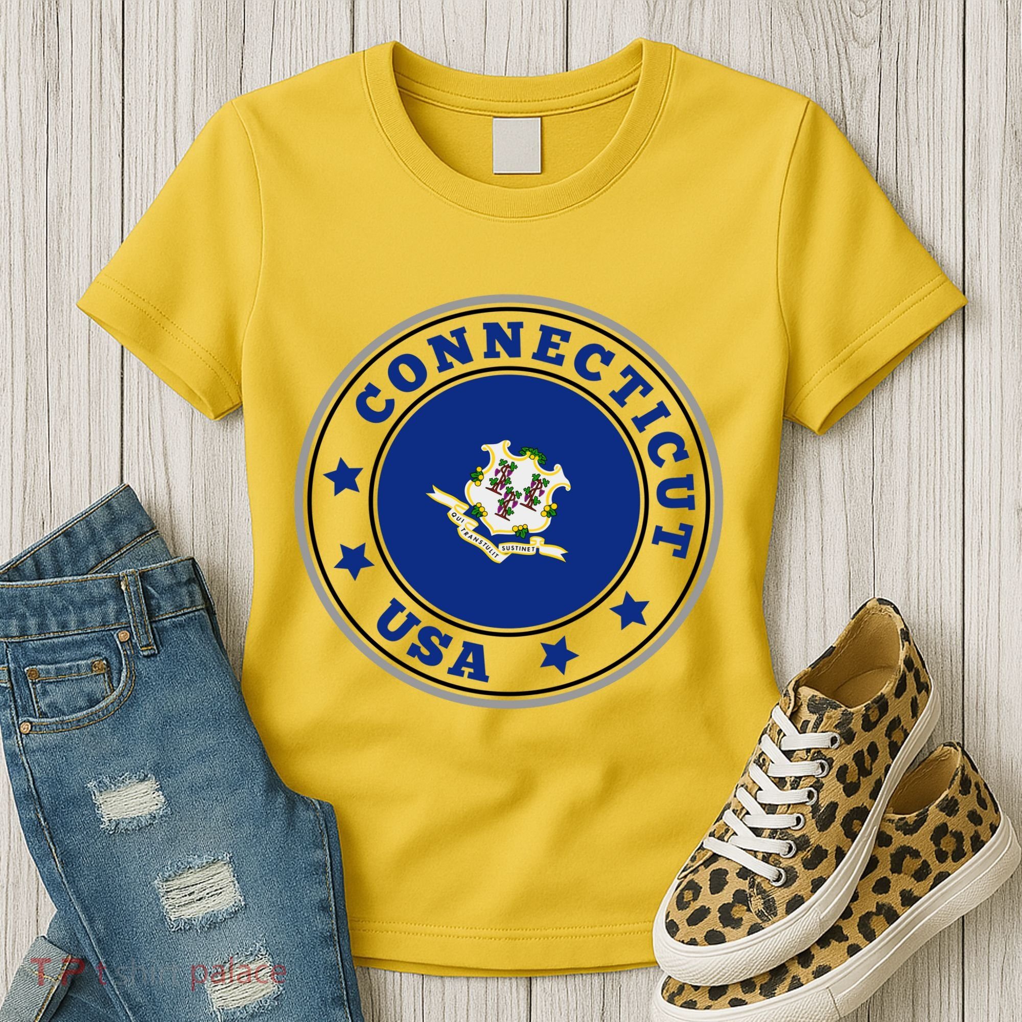 Connecticut State Flag Circle Women's T-Shirt