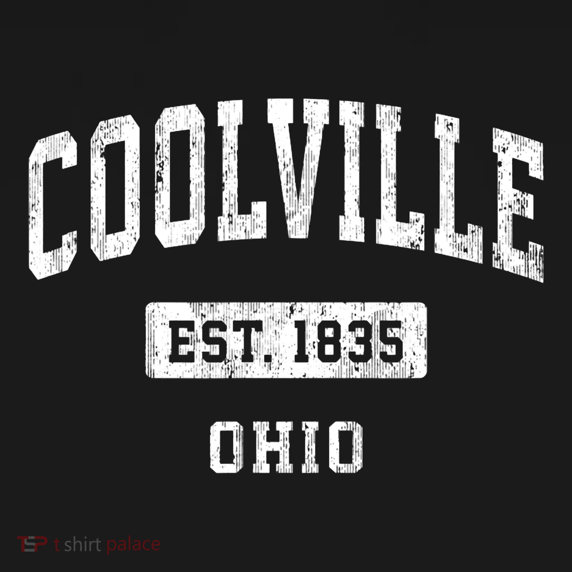 Coolville Ohio Oh Vintage Sports Established T-Shirt