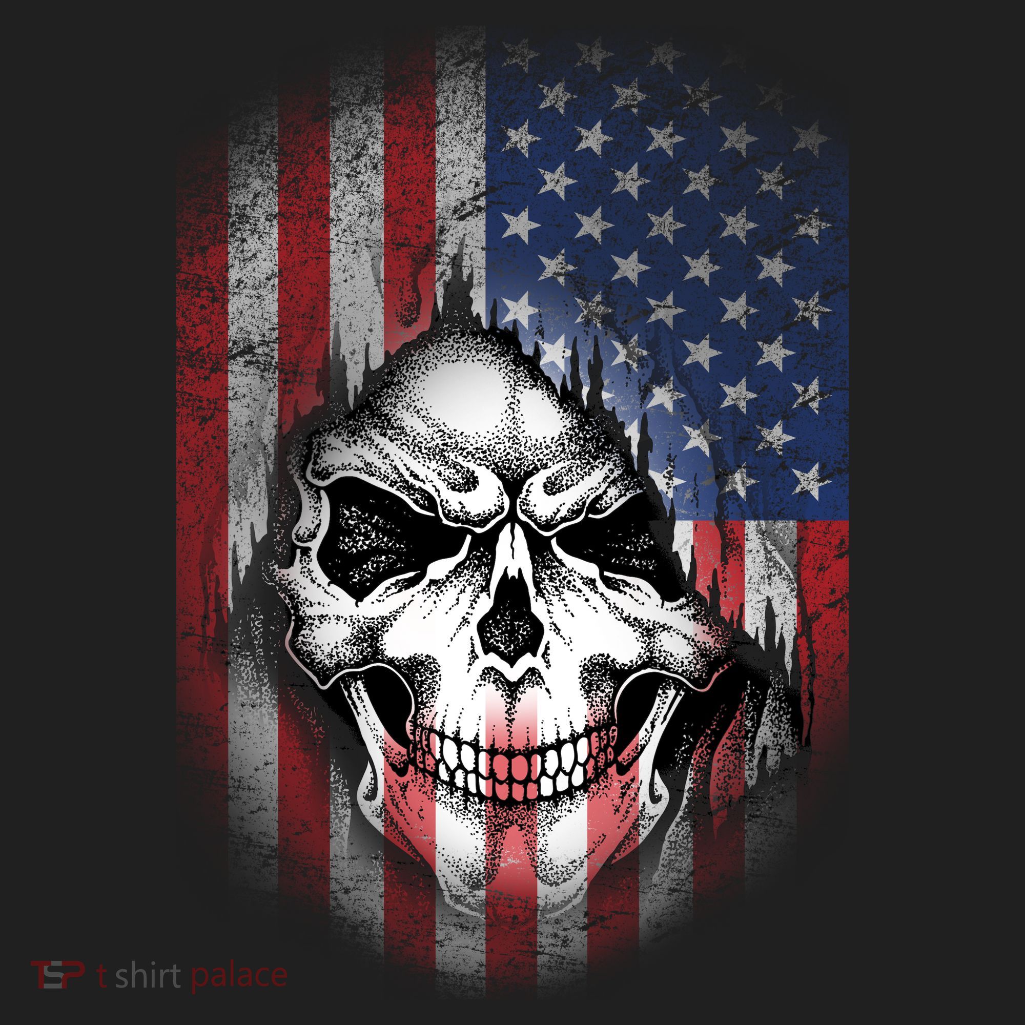 Cool American Flag Skull Graphic Hat