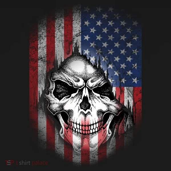 Cool American Flag Skull Graphic Kids Long Sleeve Shirt