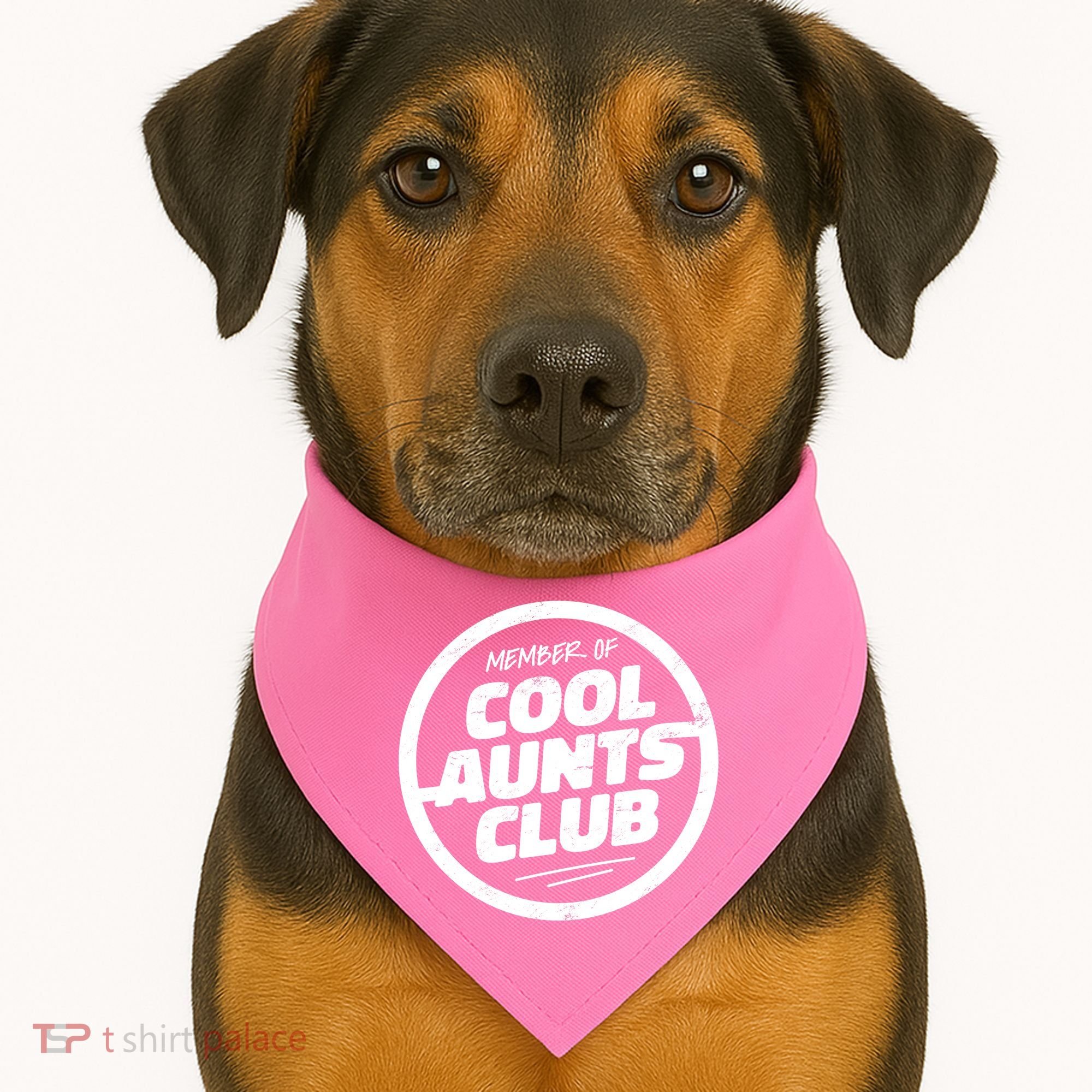 Cool Aunts Club USA-Made Doggie Bandana