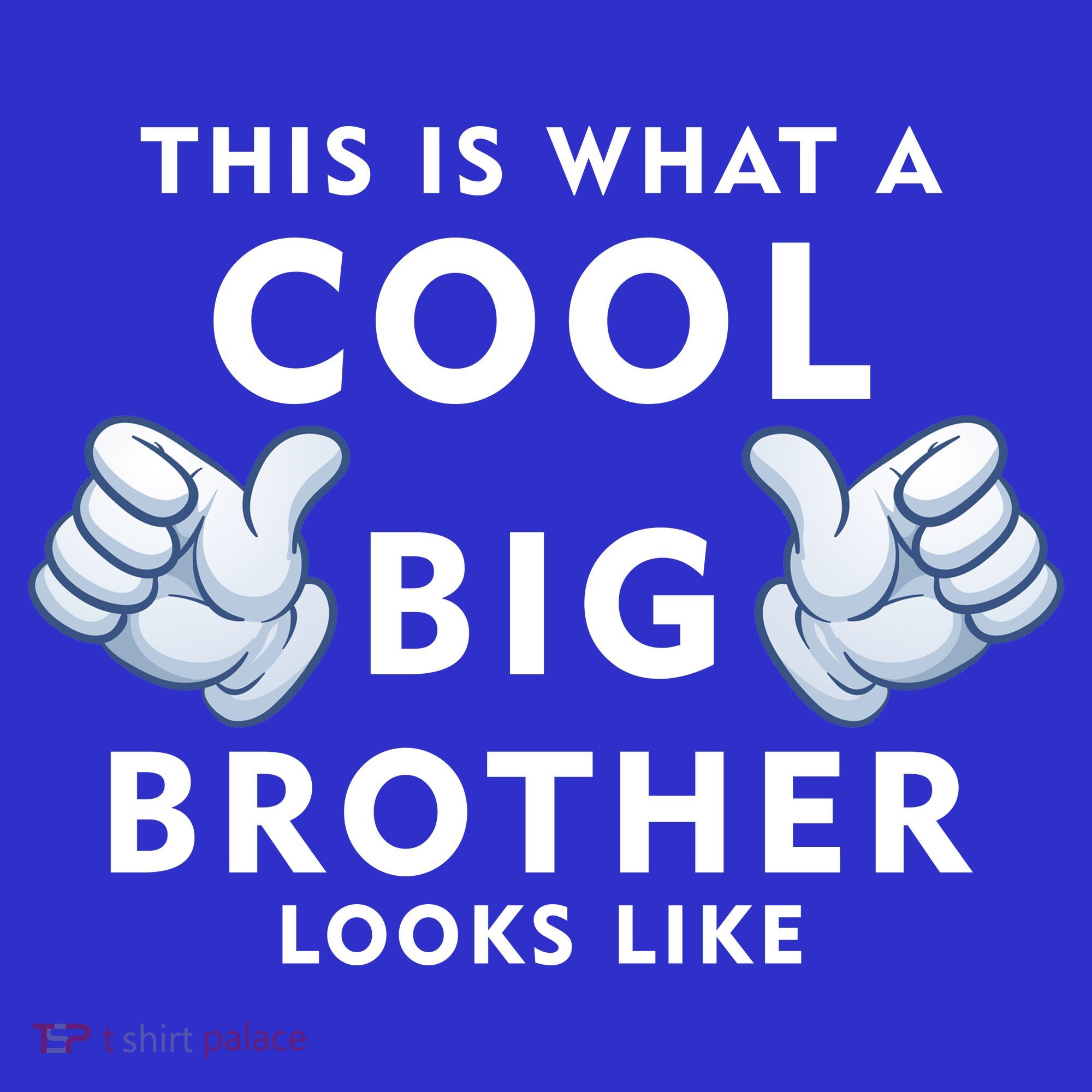 Cool Big Brother Toddler Hoodie