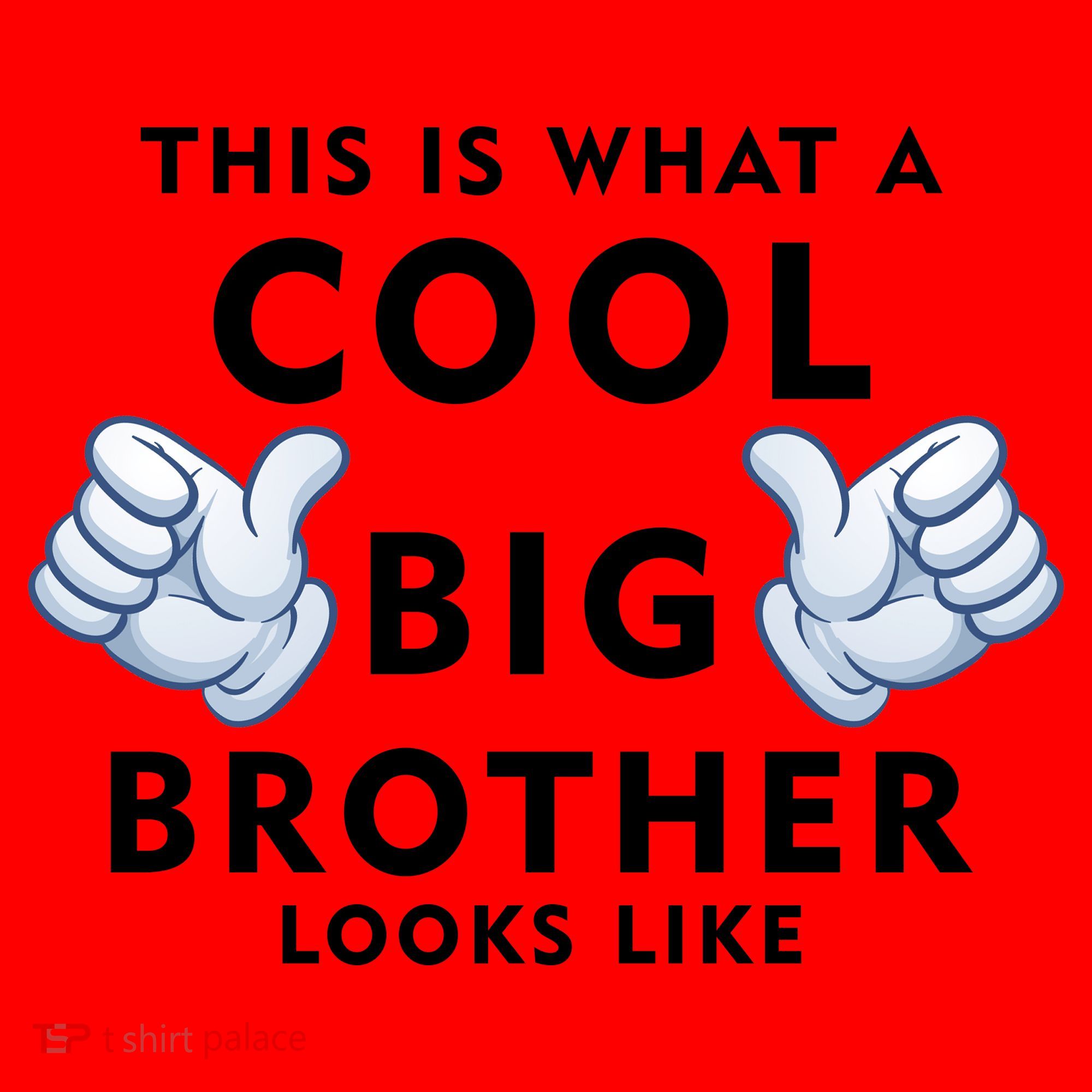 Cool Big Brother Santa Hat
