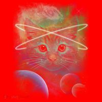Cool Cat Nebula Space Universe  Santa Hat thumb 1