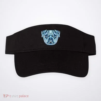 Visor