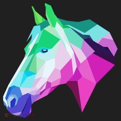 Cool Geometric Horse Women's Sweatshirt