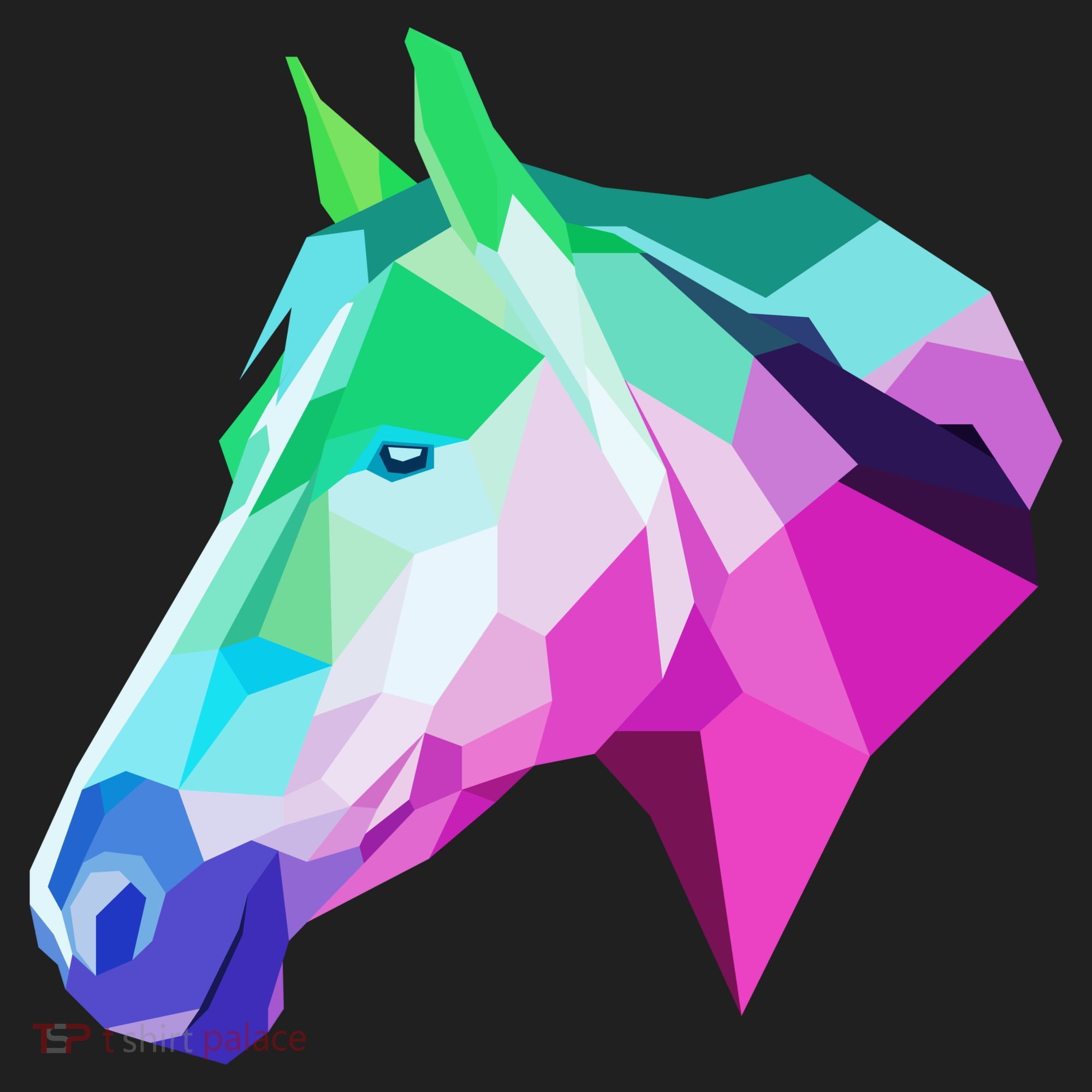 Cool Geometric Horse Hat