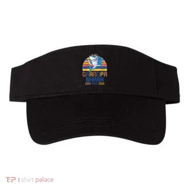 Visor