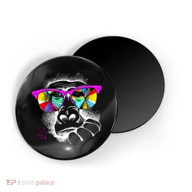 Magnet