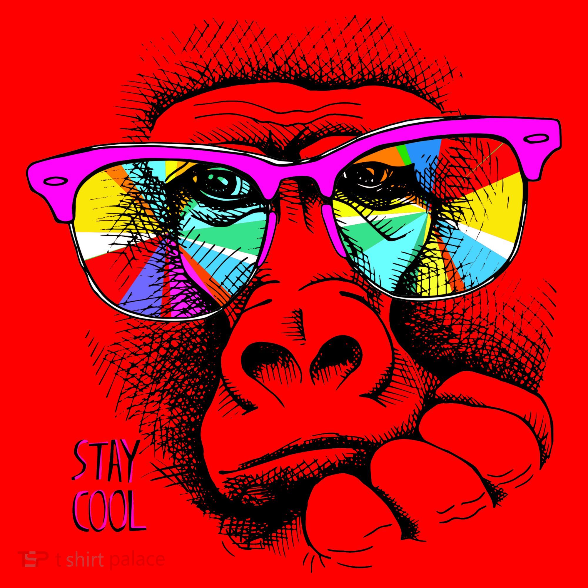 Cool Monkey Santa Hat