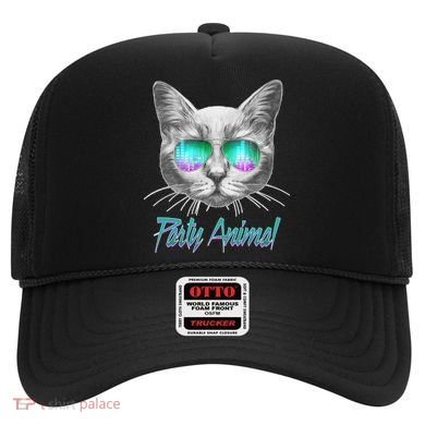 Cool Party Animal Cat Hat