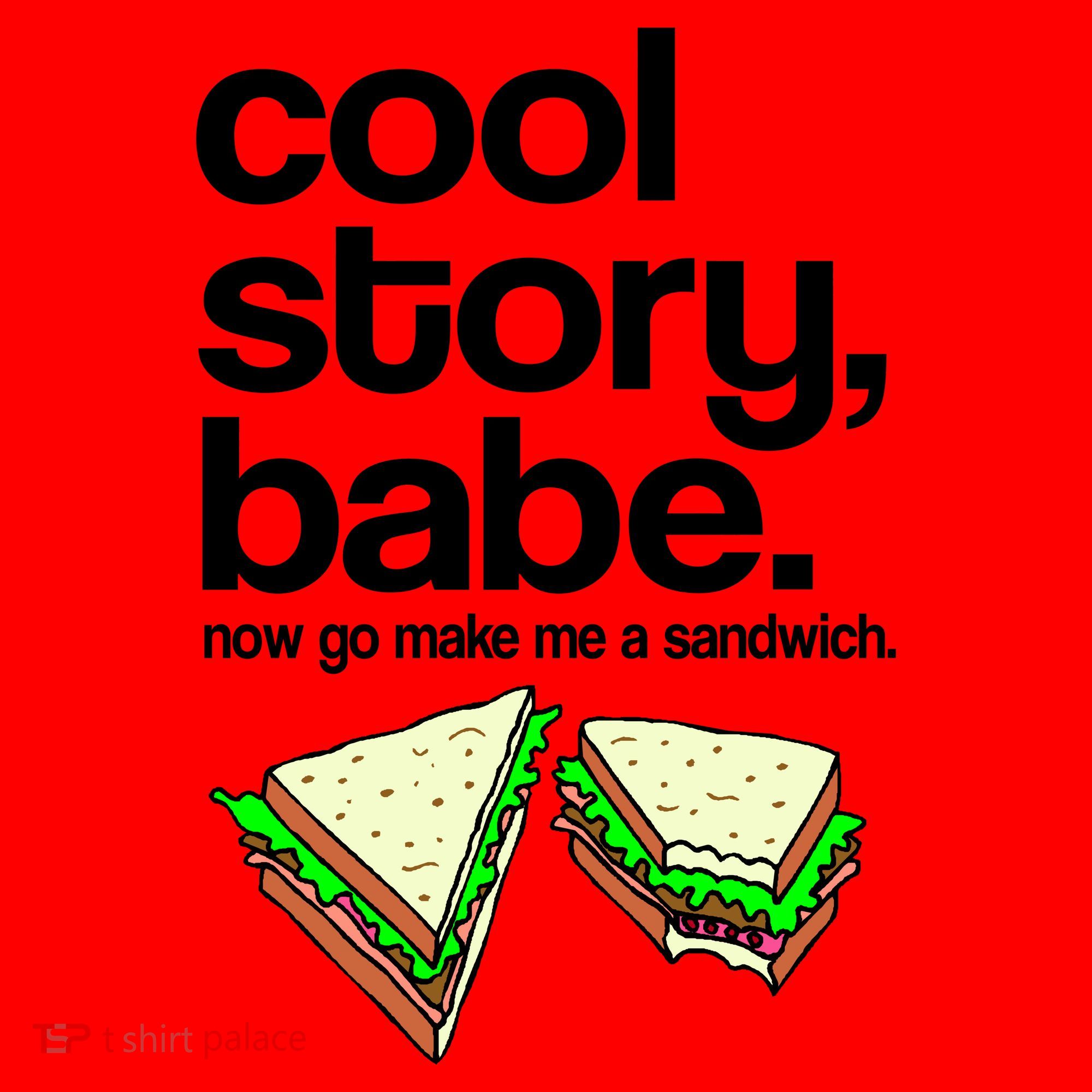 Cool Story Babe Now Make Me a Sandwich Santa Hat
