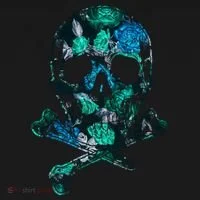 Cool Summer Graphic Skull Doggie Tank thumb 4