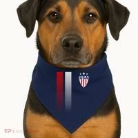Cool USA Soccer Jersey Stripes USA-Made Doggie Bandana thumb 1