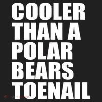Cooler Than a Polar Bears Toenail Tumbler thumb 3