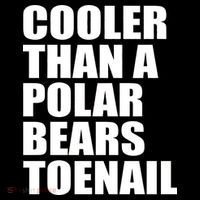 Cooler Than a Polar Bears Toenail Ornament thumb 1