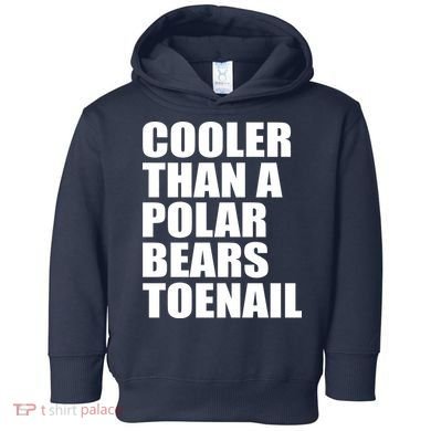 Cooler Than a Polar Bears Toenail Toddler Hoodie