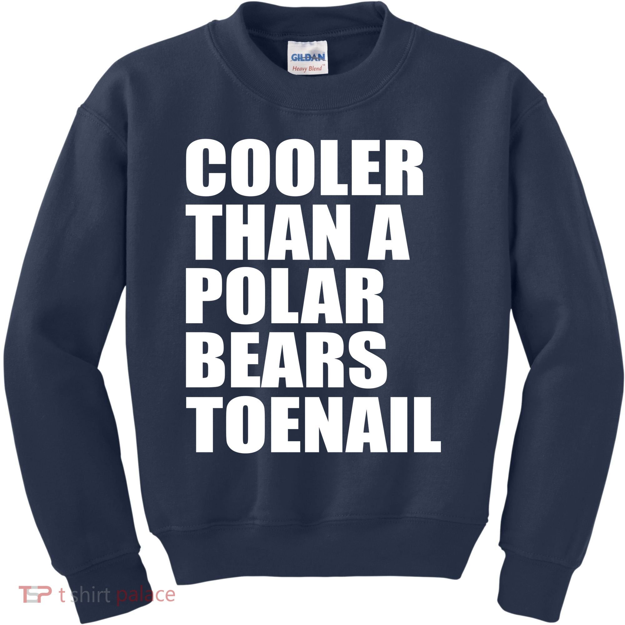 Cooler Than a Polar Bears Toenail Kids Sweatshirt