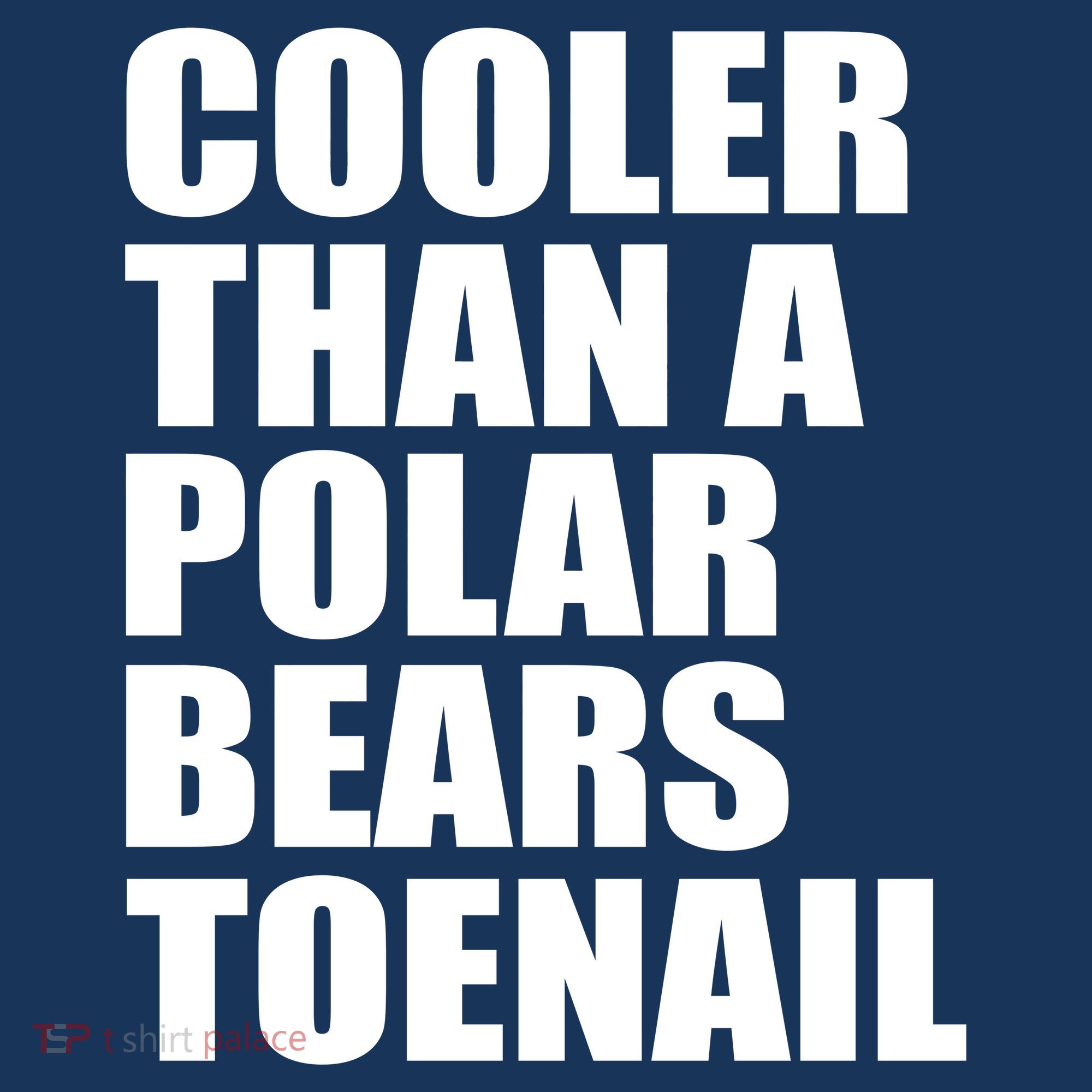 Cooler Than a Polar Bears Toenail Kids T-Shirt