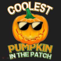 Coolest Pumpkin In The Patch Women's Sweatshirt thumb 2