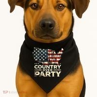Country Over Party Democracy Matters USA-Made Doggie Bandana thumb 1