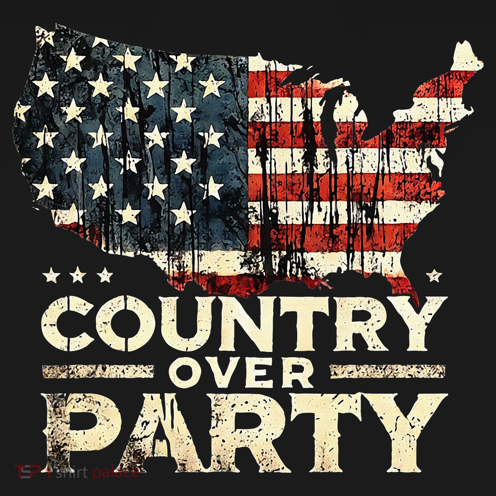 Country Over Party Democracy Matters USA-Made Doggie Bandana