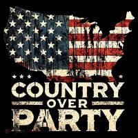 Country Over Party Democracy Matters Hoodie thumb 7
