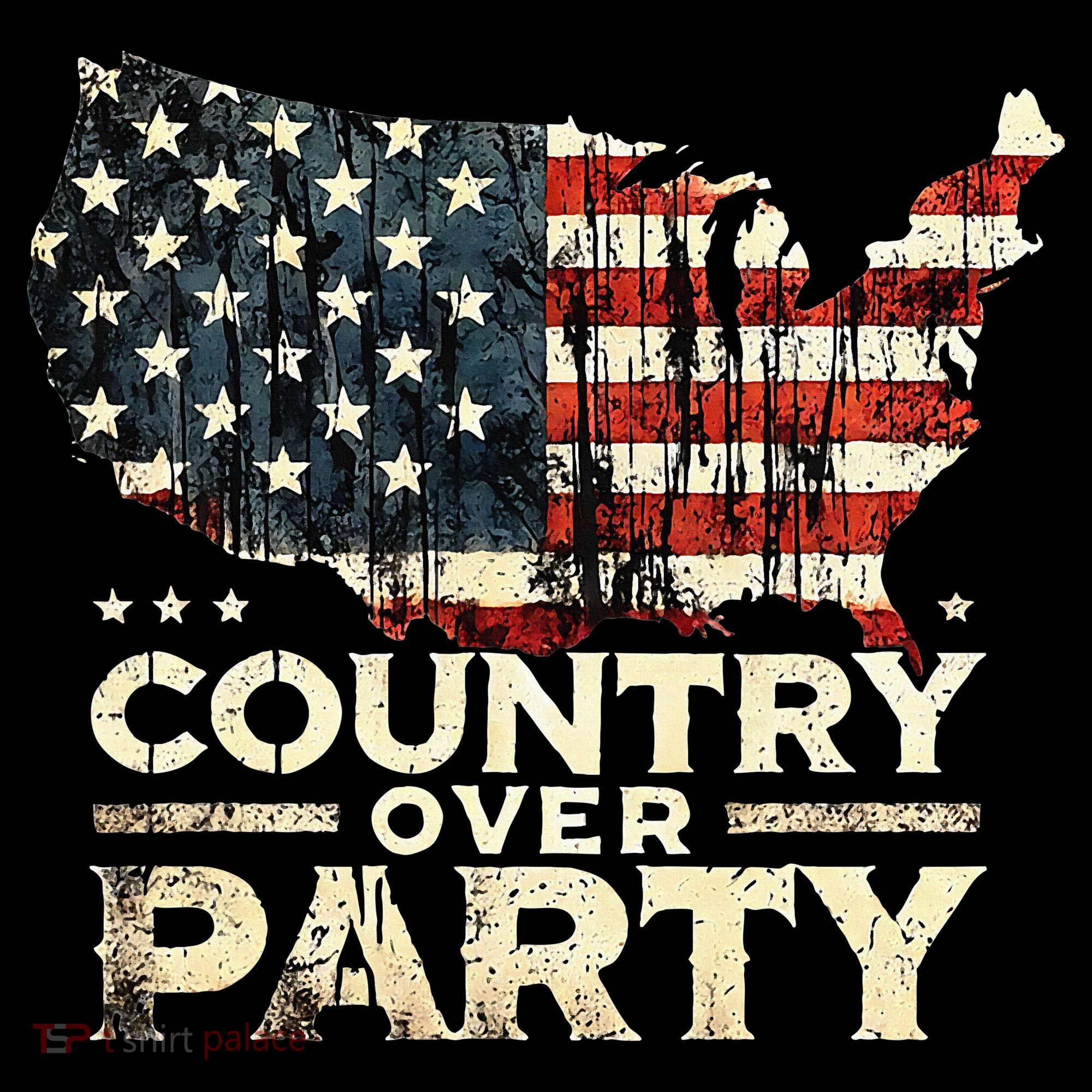 Country Over Party Democracy Matters Women's Tank Top