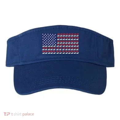 Visor