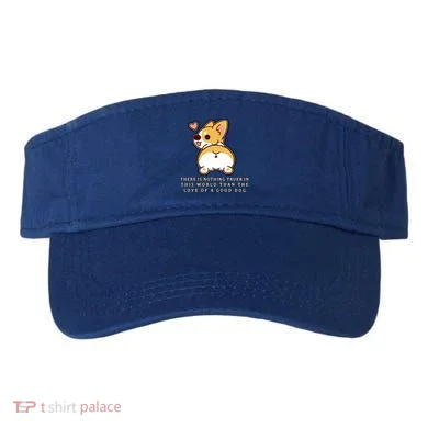 Visor