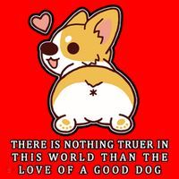 Corgi Butt Love A Dog Santa Hat thumb 1
