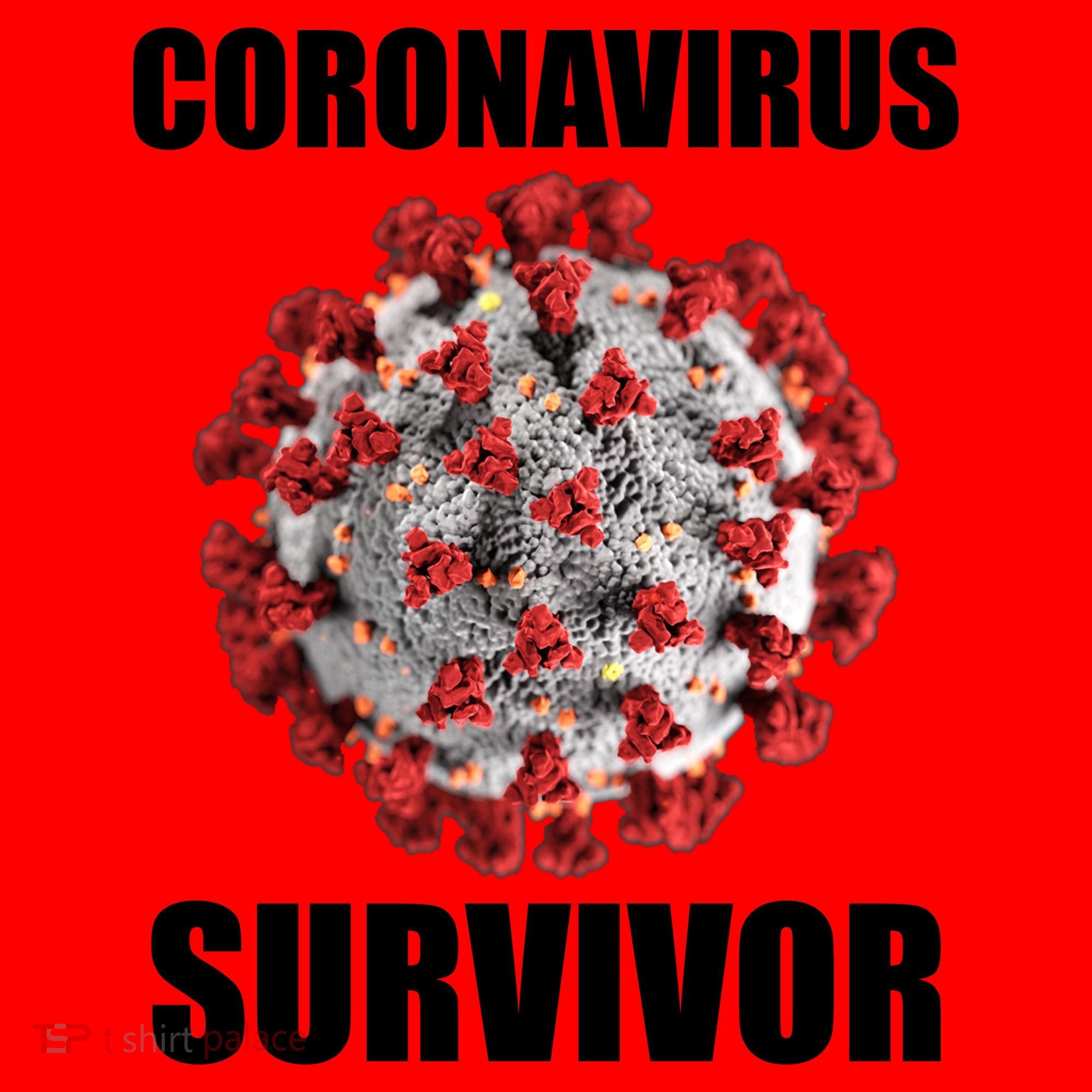 Coronapocalpse Survivor Santa Hat