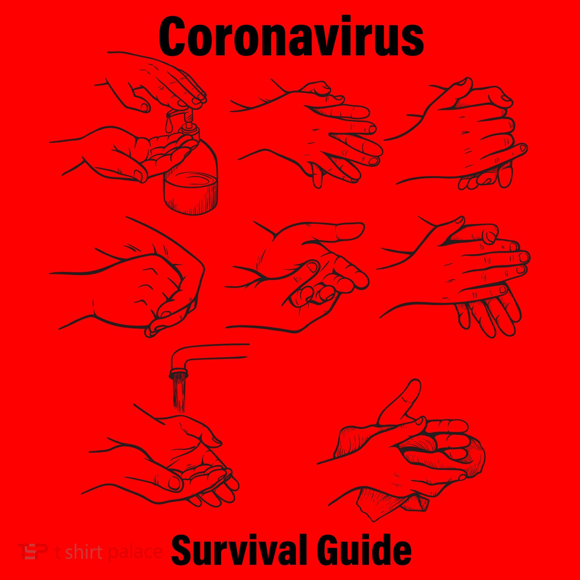 Coronavirus Survival Guide Santa Hat