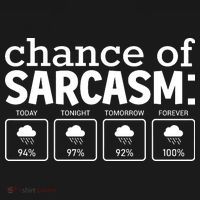 Chance Of Sarcasm Funny Sarcastic Weather Meme Ornament thumb 1