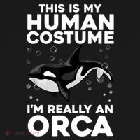 Cool Orca Sea Ocean Animal Orca Lover Women's Hoodie thumb 2