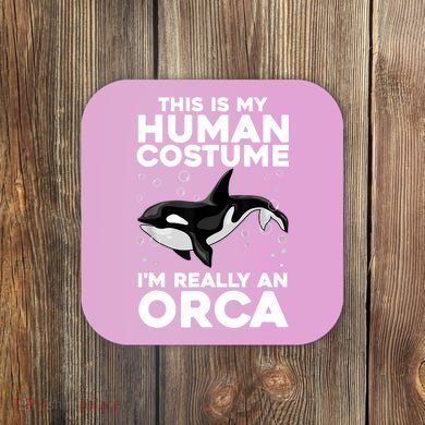 Cool Orca Sea Ocean Animal Orca Lover Coaster