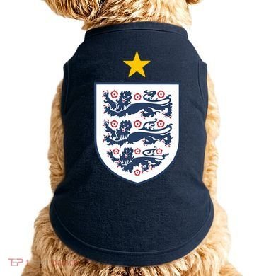 Cool One Star England Flag Doggie Tank