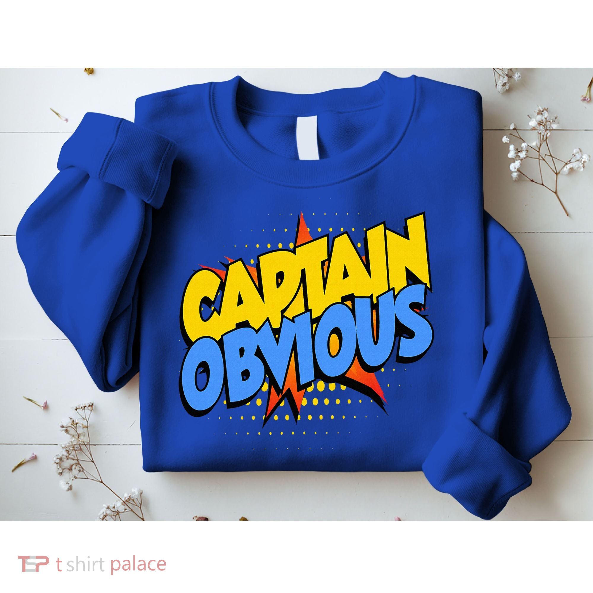 Captain Obvious Sarcastic Funny Superhero Easy Costume Sweatshirt