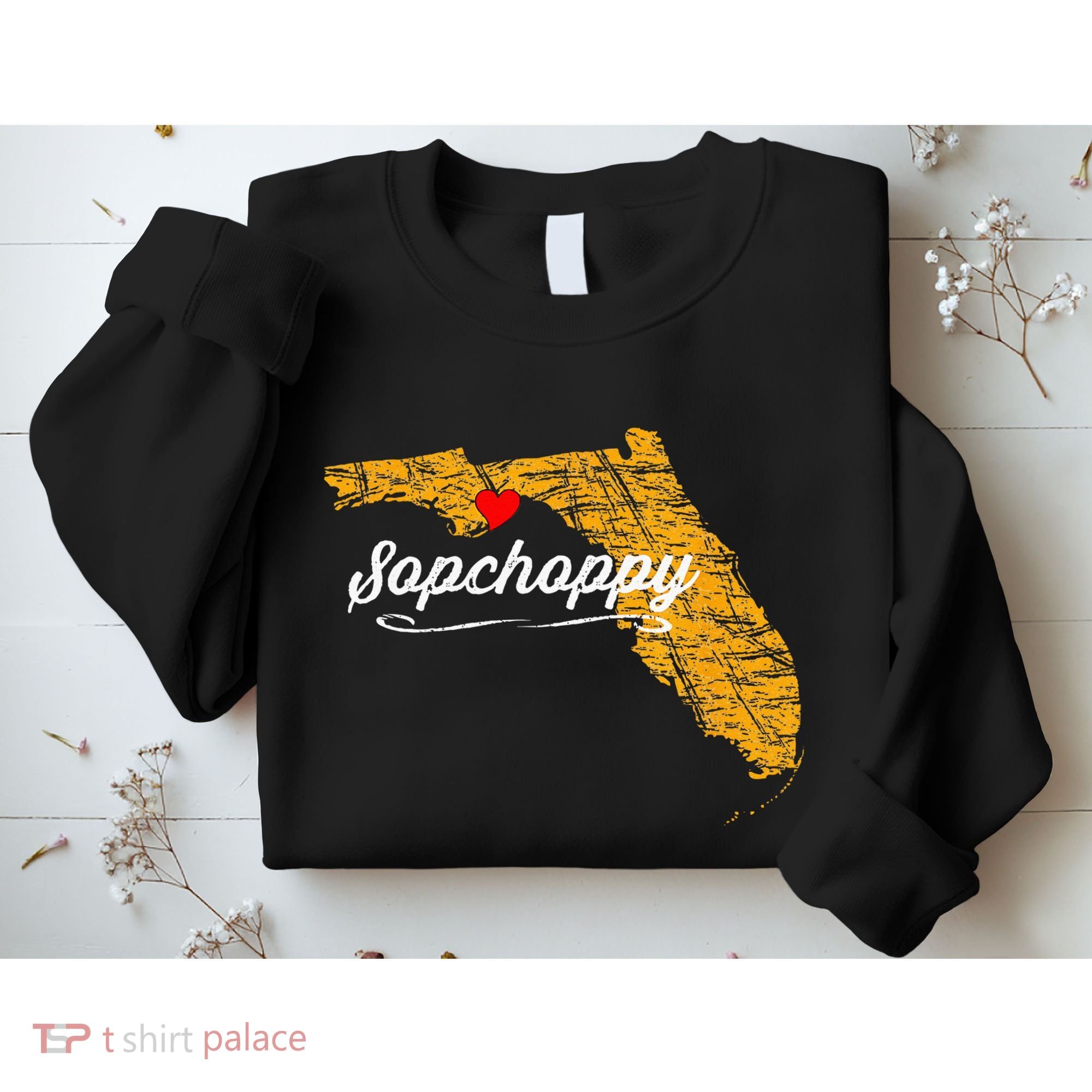 City Of Sopchoppy FLORIDA FL Merch Souvenir Sweatshirt