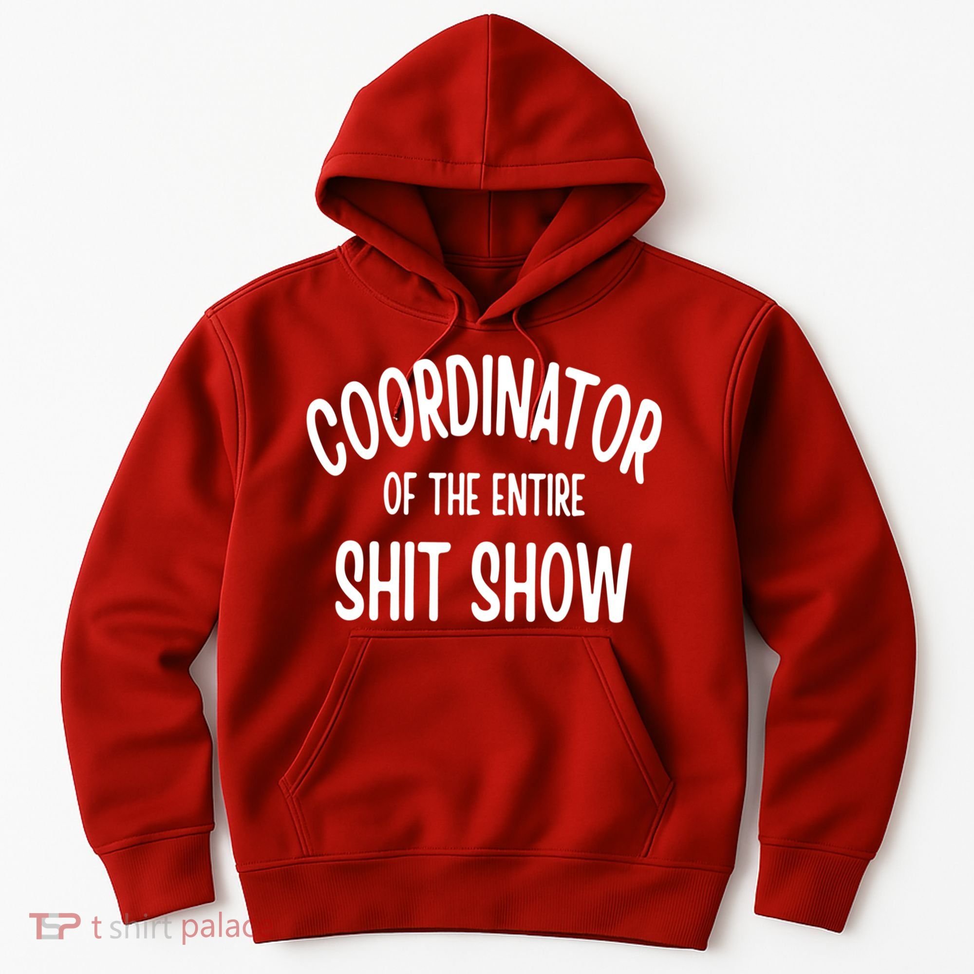 Coordinator Of The Entire ShitShow Hoodie