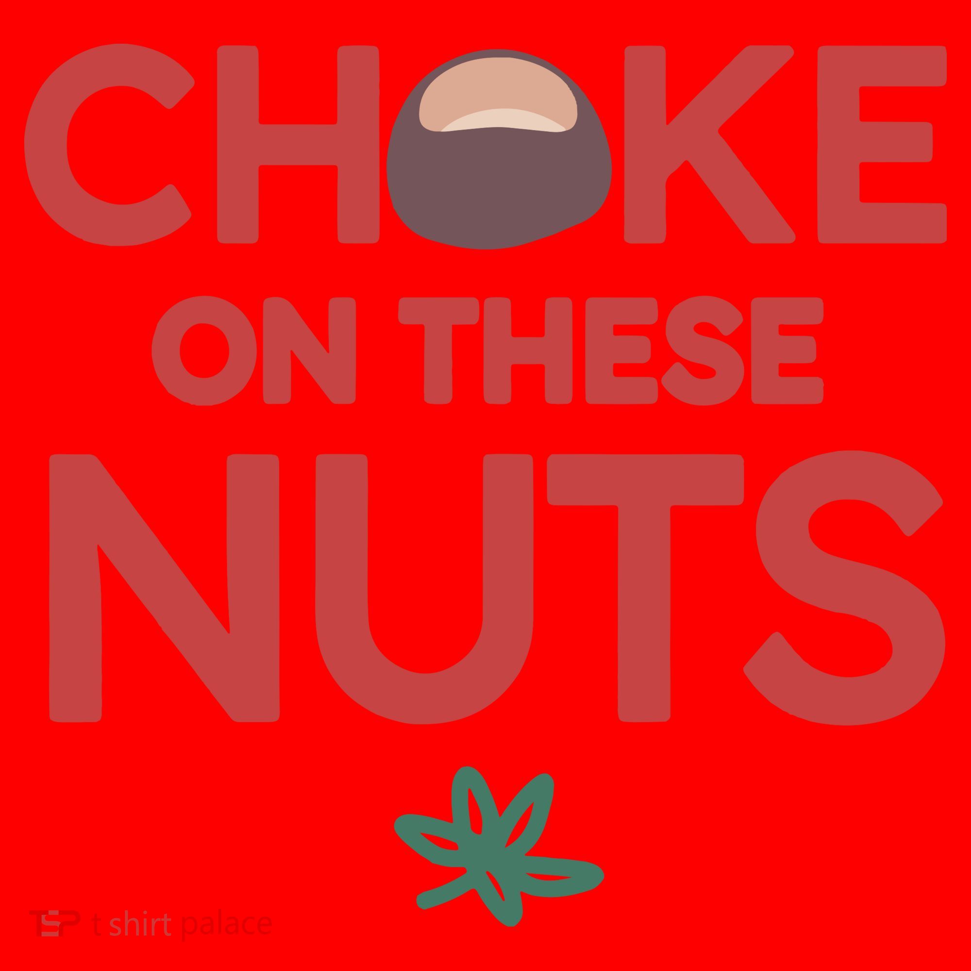 Choke On These Nuts Buckeye Christmas Football Santa Hat