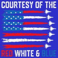 Courtesy Of The Red White And Blue 4th Of July Women's Tank Top thumb 5