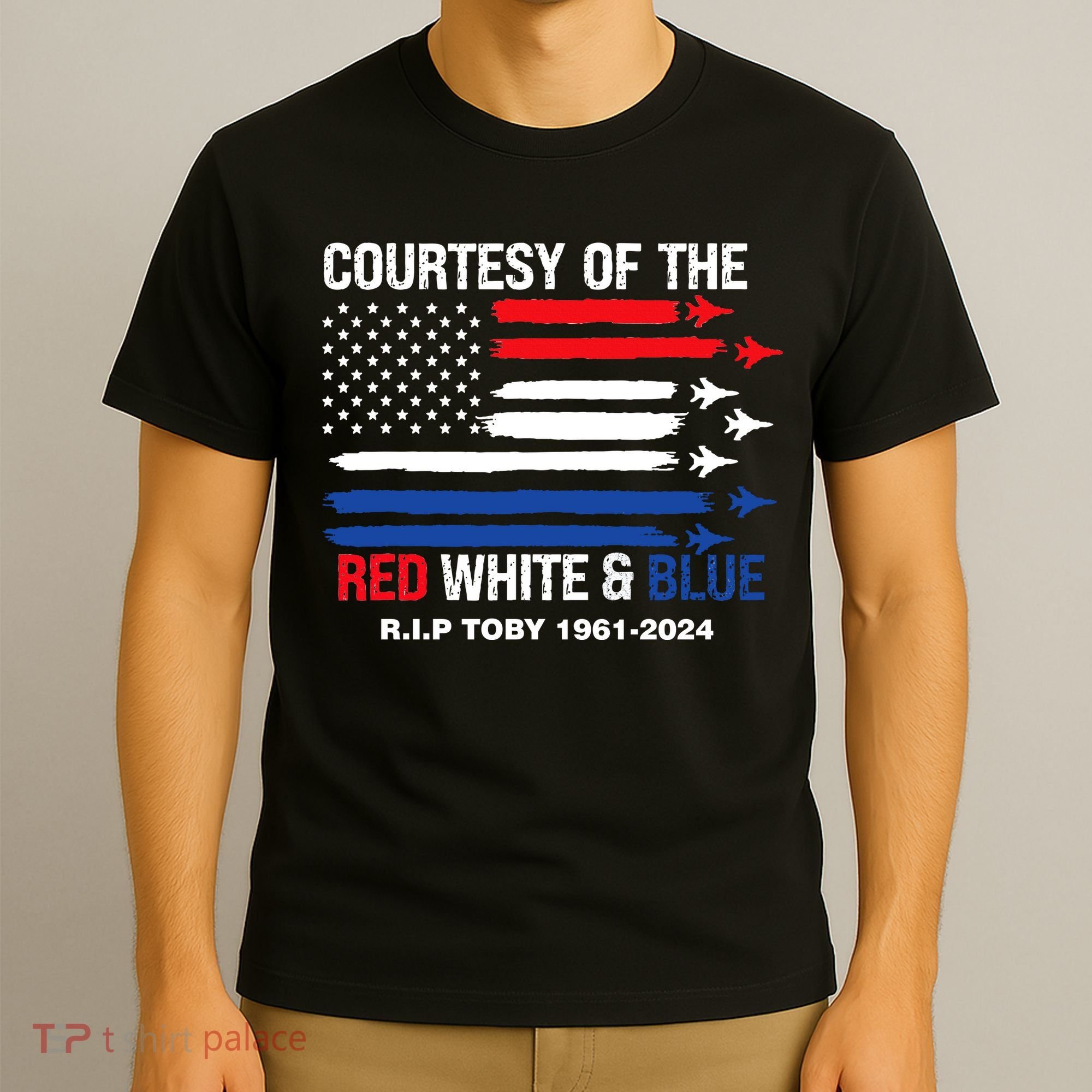 Courtesy Of The Red White And Blue Rip Toby T-Shirt