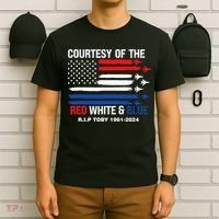 Courtesy Of The Red White And Blue Rip Toby T-Shirt thumb 6