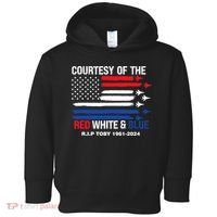 Courtesy Of The Red White And Blue Rip Toby Toddler Hoodie thumb 0
