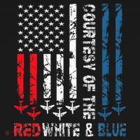 Courtesy Of The Red White And Blue Vintage America Us Flag T-Shirt thumb 7