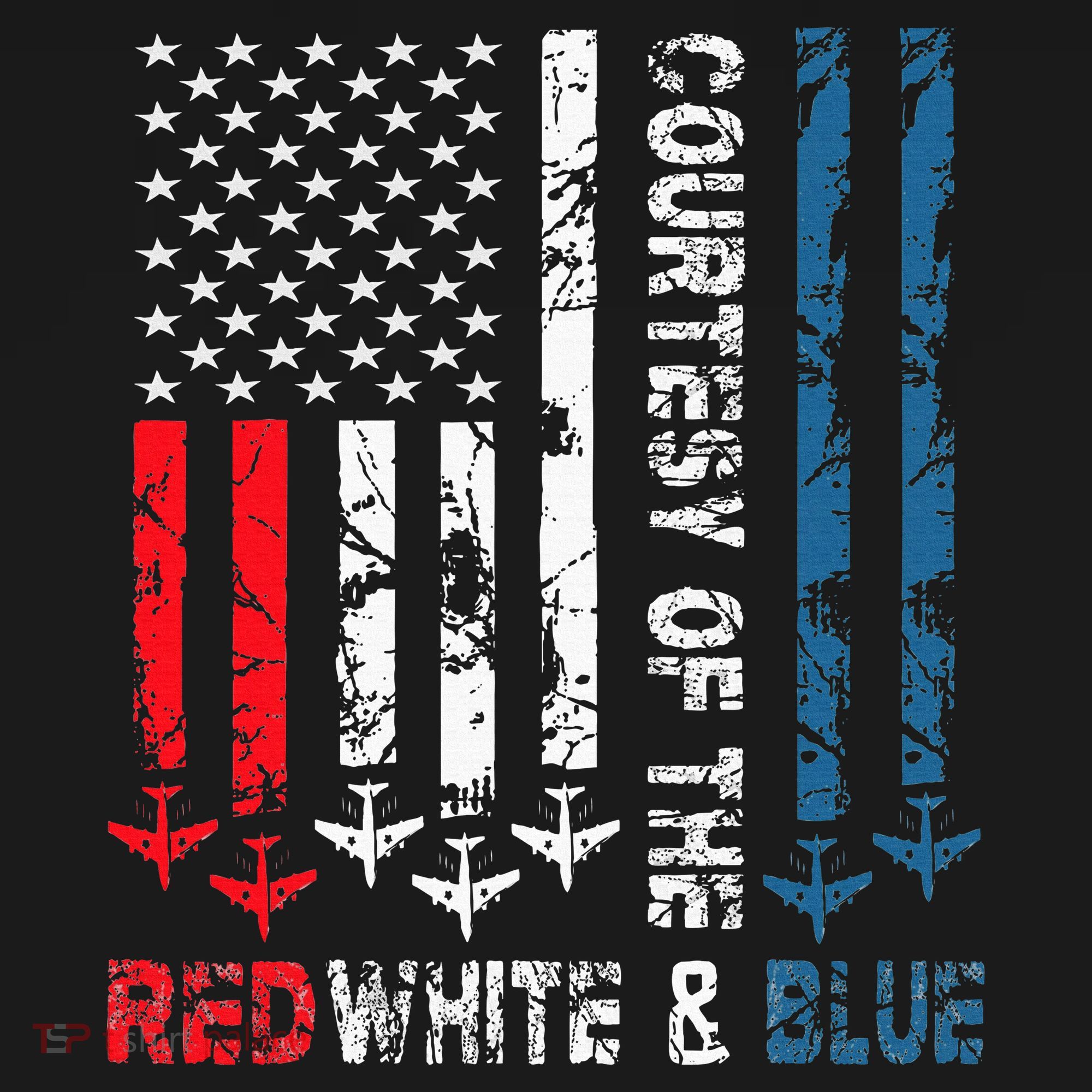 Courtesy Of The Red White And Blue Vintage America Us Flag T-Shirt