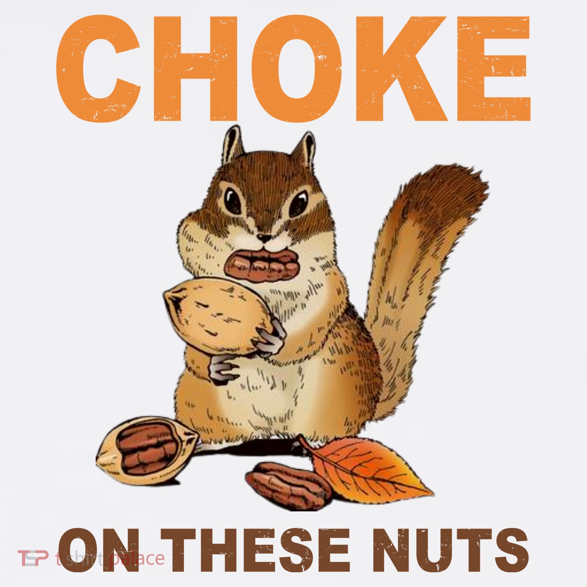 Choke On These Nuts Funny Sarcastic Humor Chipmunk Beanie
