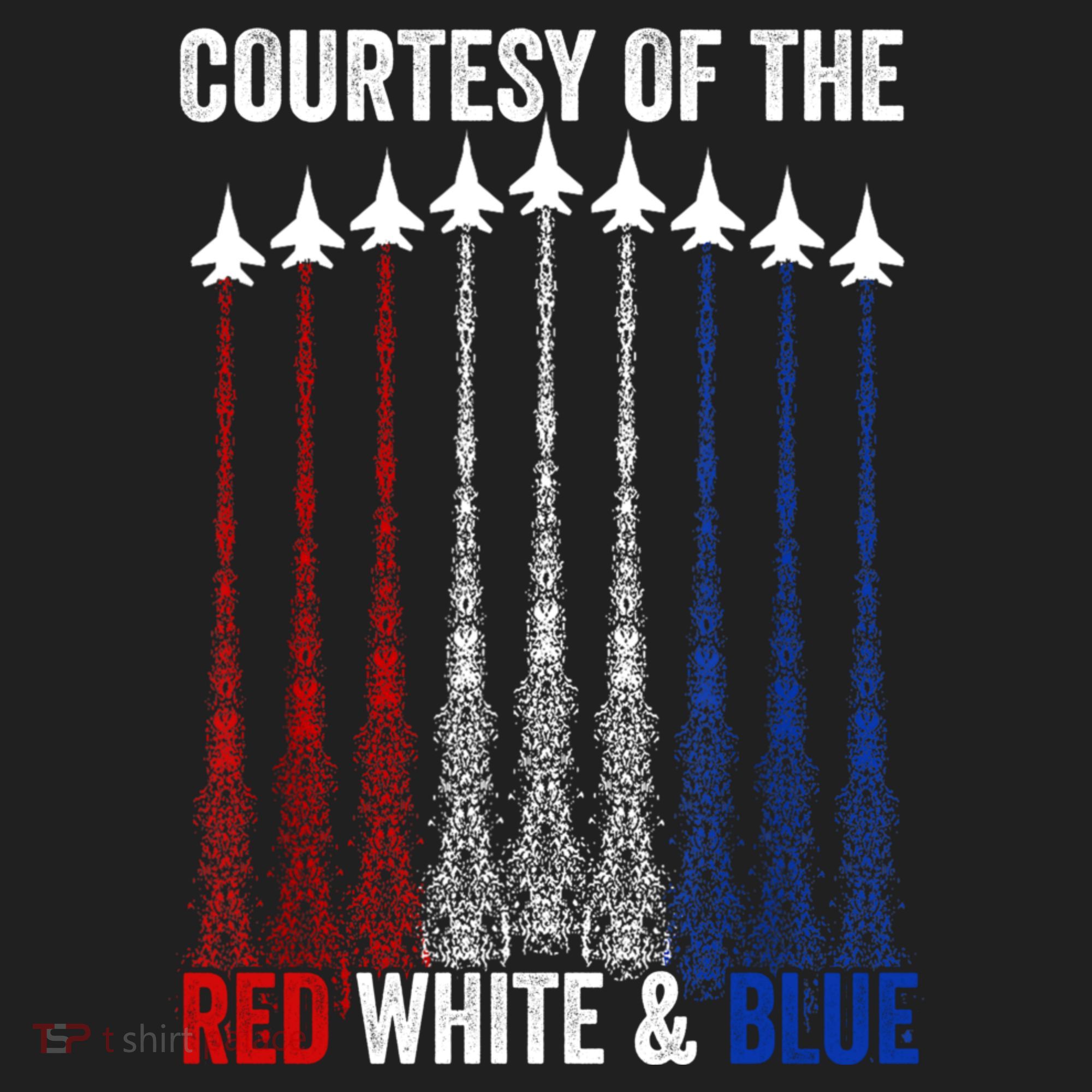 Courtesy Of The Red White And Blue 4th Of July Hat