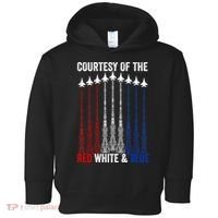 Courtesy Of The Red White And Blue 4th Of July Toddler Hoodie thumb 0